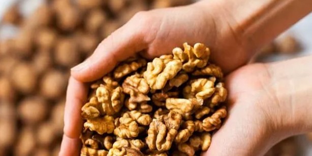 Foto - Unutkanlığa çare oluyor: Güçlü bir hafıza için bol bol tüketin! Alzheimer için şifa besinler