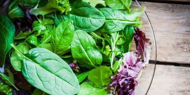 Foto - Unutkanlık sorunumu var? Bilişsel rezervi için işte çözümü! Tam bir servet: Herkes yapsın, kurtarıcı besinler...