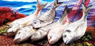 Foto - Unuttuklarınızı hatırlamak ister misiniz?