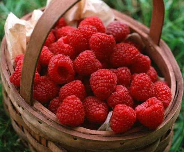 Foto - Unuttuklarınızı hatırlamak ister misiniz?