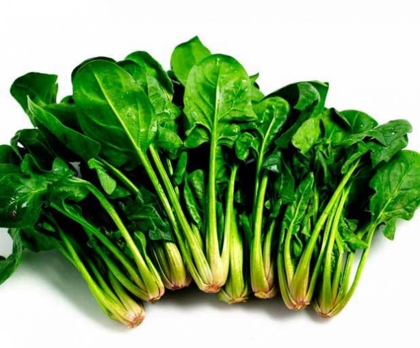 Foto - Unuttuklarınızı hatırlamak ister misiniz?