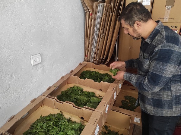 Unutulmaya yüz tutmuştu! Geleneksel o meslek yeniden canlandırılıyor