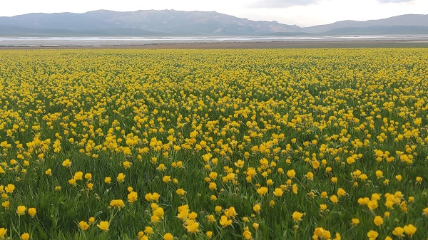 Foto - Urartu Kralı II. Rusa yapıldı! İşte, dünyanın en eski göleti
