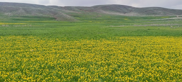 Foto - Urartu Kralı II. Rusa yapıldı! İşte, dünyanın en eski göleti