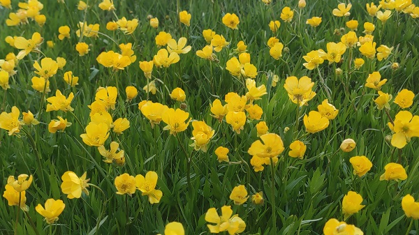 Foto - Urartu Kralı II. Rusa yapıldı! İşte, dünyanın en eski göleti