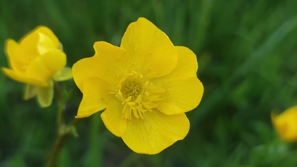 Foto - Urartu Kralı II. Rusa yapıldı! İşte, dünyanın en eski göleti