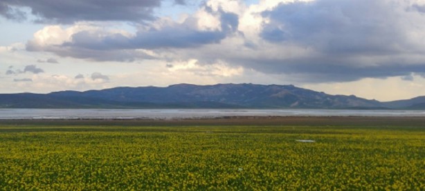 Urartu Kralı II. Rusa yapıldı! İşte, dünyanın en eski göleti