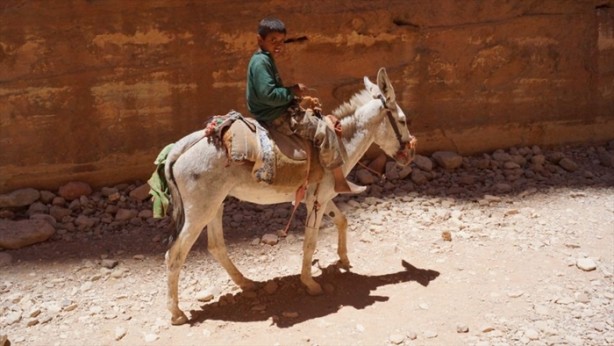 Foto - Ürdün'deki 'gizli hazine'