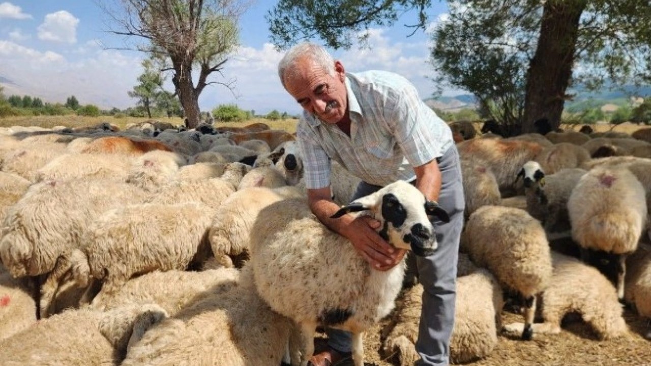 Foto - Üretici isyanda! '130 bin TL'ye çalışacak kimse yok'
