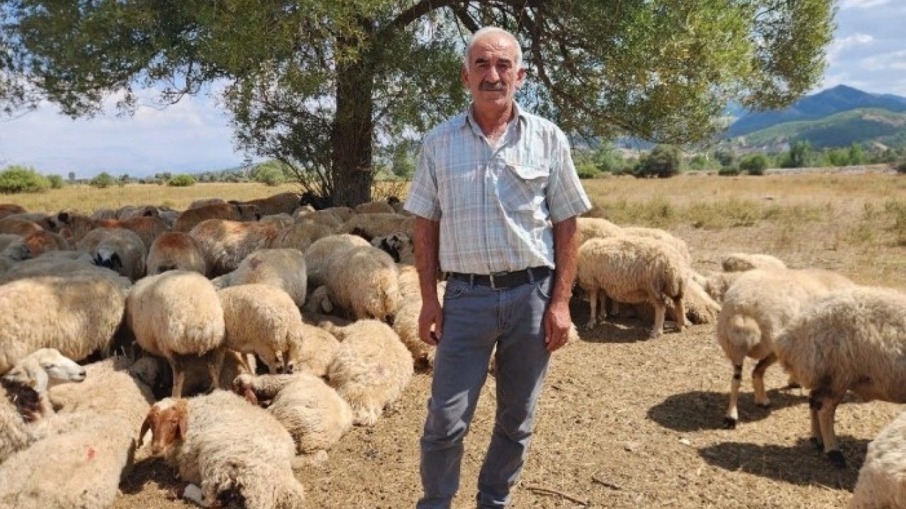 Üretici isyanda! '130 bin TL'ye çalışacak kimse yok'