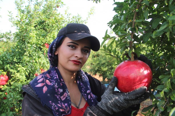Foto - Türkiye'nin kapısını çalıyorlar! Rusya ve Avrupa ne yapıp edin gönderin diyor... İnanılmaz talep