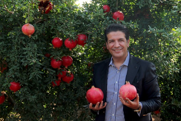 Foto - Türkiye'nin kapısını çalıyorlar! Rusya ve Avrupa ne yapıp edin gönderin diyor... İnanılmaz talep