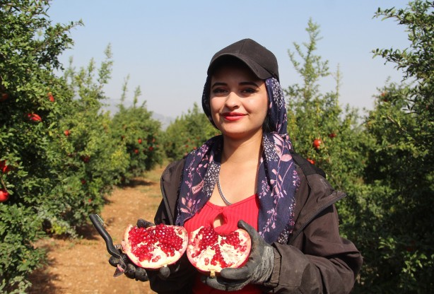 Foto - Türkiye'nin kapısını çalıyorlar! Rusya ve Avrupa ne yapıp edin gönderin diyor... İnanılmaz talep
