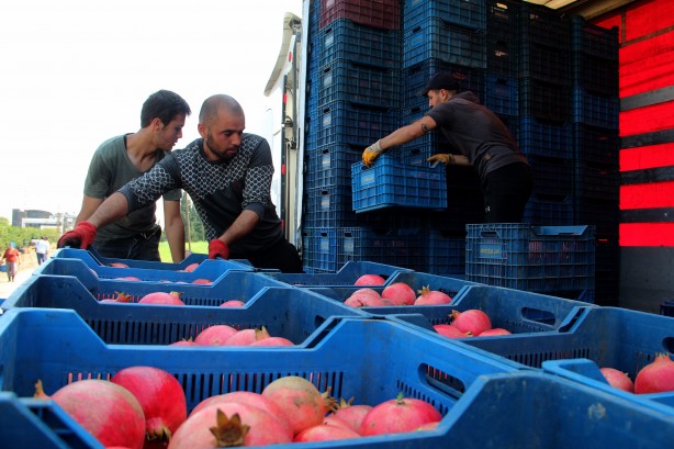 Foto - Türkiye'nin kapısını çalıyorlar! Rusya ve Avrupa ne yapıp edin gönderin diyor... İnanılmaz talep