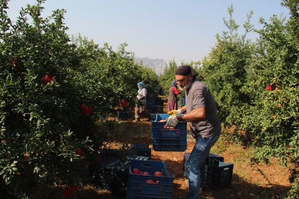 Foto - Türkiye'nin kapısını çalıyorlar! Rusya ve Avrupa ne yapıp edin gönderin diyor... İnanılmaz talep