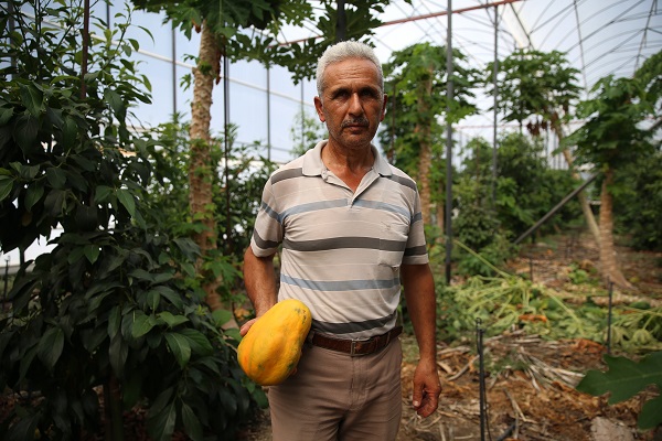 Foto - Üreticiler bu meyveyi çok sevdi! Yetiştirmesi zahmetsiz kazancı bol