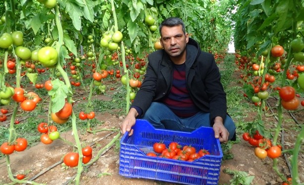 Üreticiler isyanda: Burada 1 lira 80 kuruş, İstanbul’da 10 lira