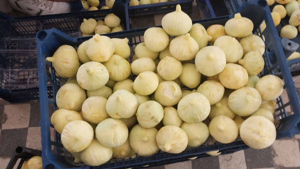 Foto - Üreticinin yüzü gülüyor! Sabahın ilk ışığında toplanıyor, altın gibi değer görüyor