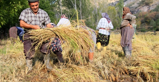 Foto - Üreticisini sevindirdi, kapış kapış satılıyor!