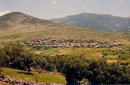 Foto - Üreticisini sevindirdi, kapış kapış satılıyor!