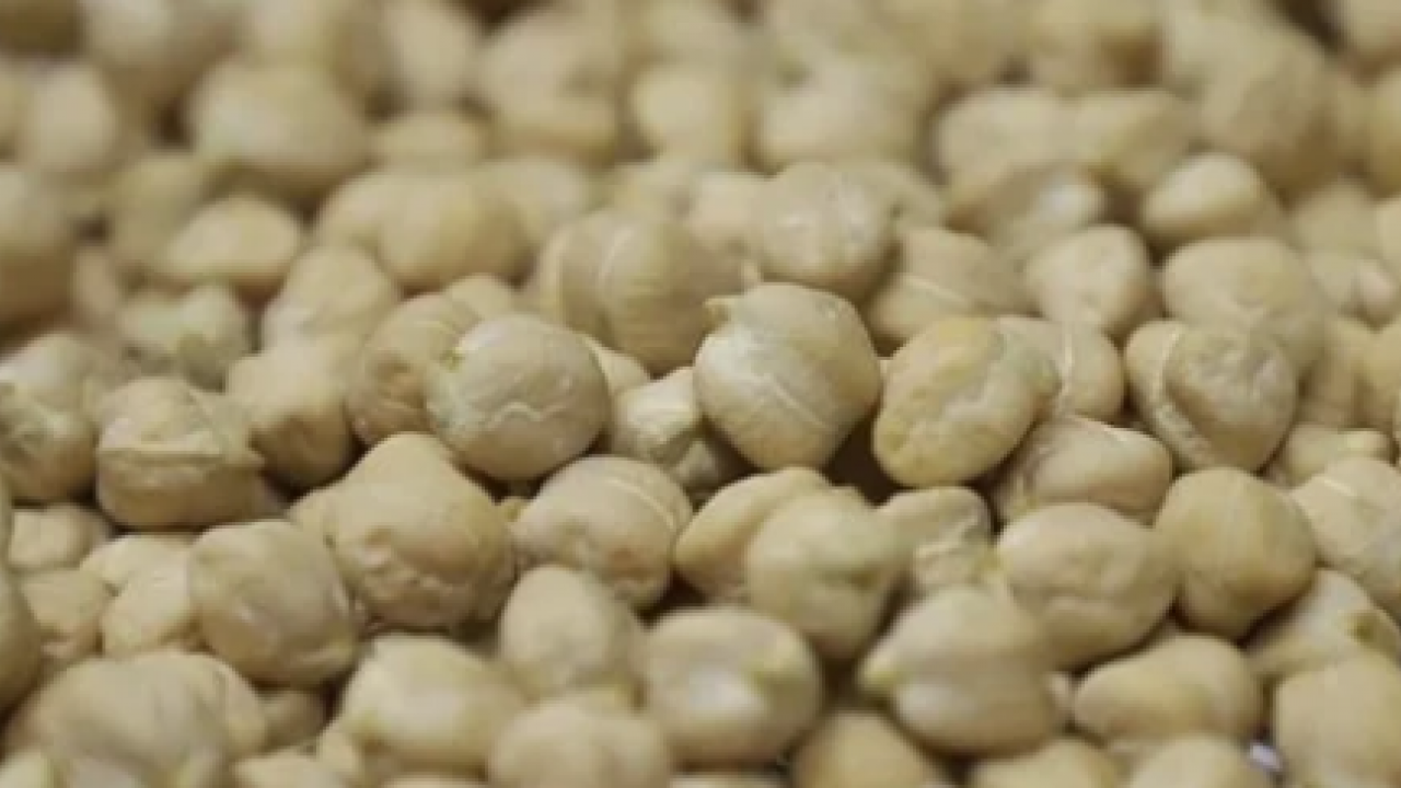 Üreticiye müjdeli haber: Yüksek sıcaklığa dayanabiliyor!