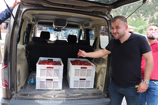 Foto - Üretilen tüm kiraz ihraç ediliyor