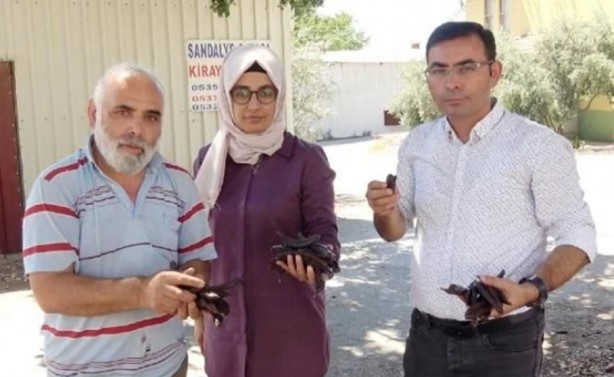 Foto - Üretim patlaması yaşandı! Yahya Peygamberin…