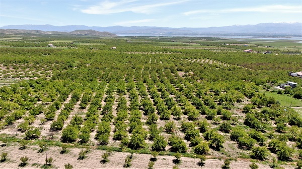 Foto - Üretime büyük darbe | Aşırı yağış yüzde 80’ini süpürdü