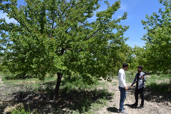 Foto - Üretime büyük darbe | Aşırı yağış yüzde 80’ini süpürdü