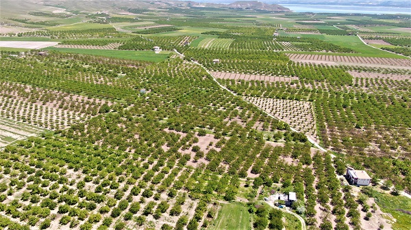 Foto - Üretime büyük darbe | Aşırı yağış yüzde 80’ini süpürdü