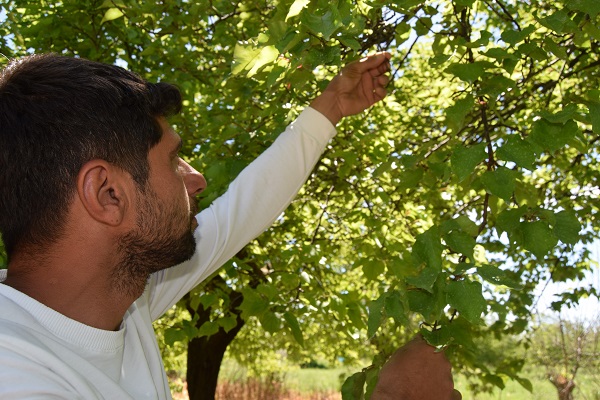 Foto - Üretime büyük darbe | Aşırı yağış yüzde 80’ini süpürdü