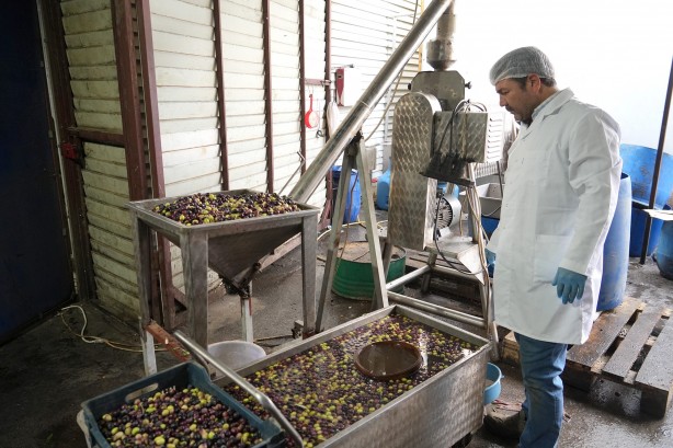 Üretime yeni boyut kazandırdı! 15 yıl önce başlanan projede müthiş sonuç