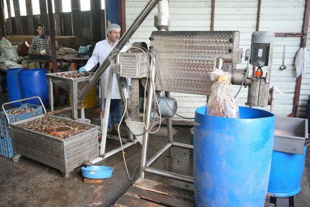 Foto - Üretime yeni boyut kazandırdı! 15 yıl önce başlanan projede müthiş sonuç