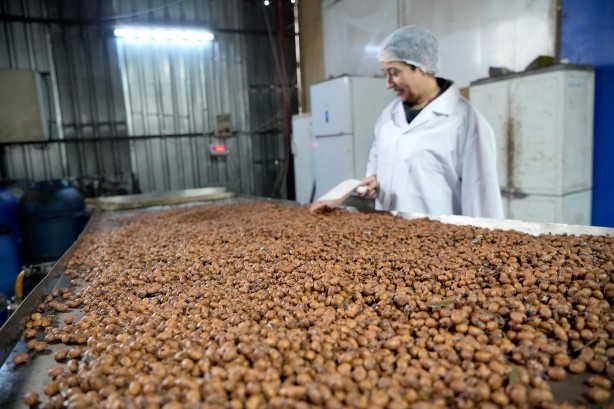 Foto - Üretime yeni boyut kazandırdı! 15 yıl önce başlanan projede müthiş sonuç