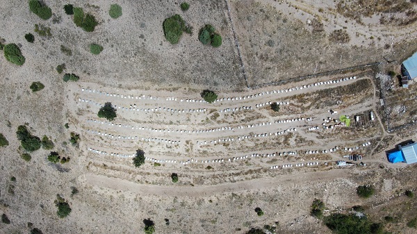 Foto - Üretimi bir hayli zahmetli! 100 gramı 2 bin 500 lira