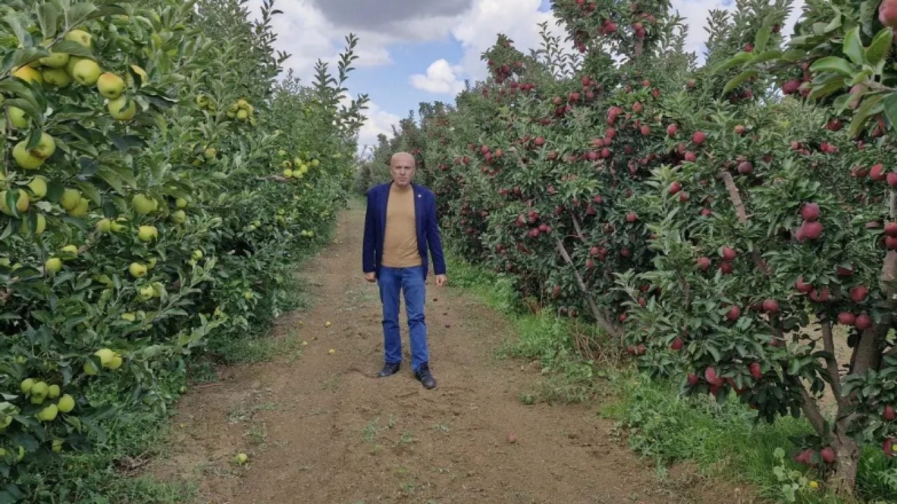 Foto - Ürün bolluğu fiyata yansıdı: Kilogramı 3 liraya kadar düştü!