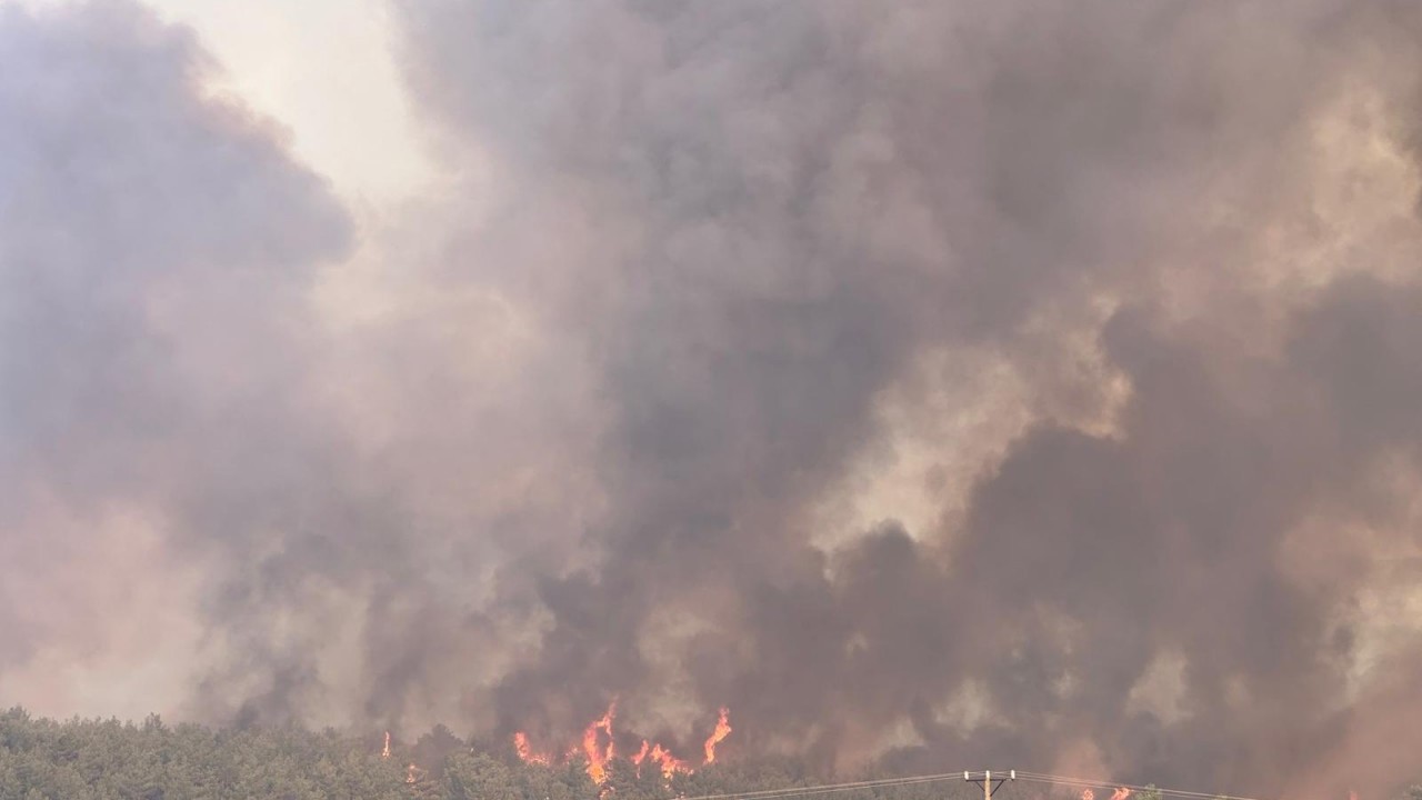 Foto - Uşak'ta orman yangını büyük ölçüde kontrol altına alındı! Yangının geride bıraktığı hasar böyle görüntülendi