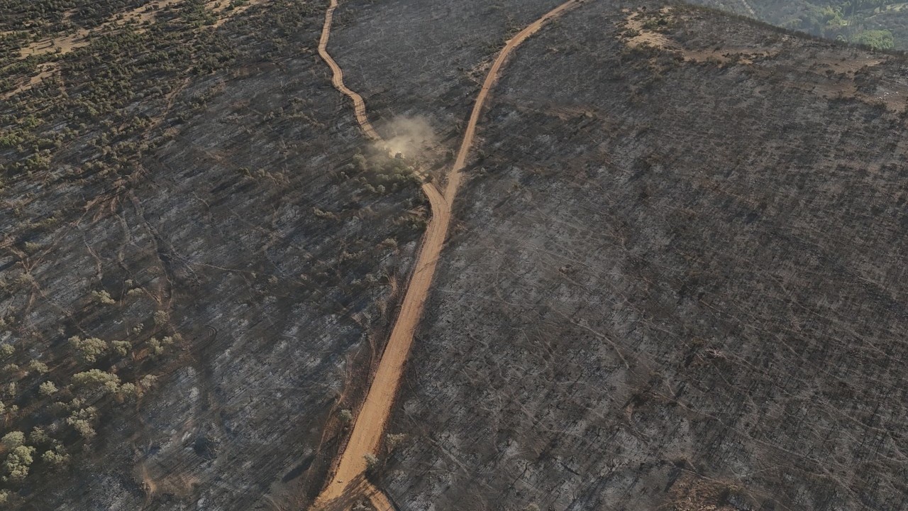 Uşak'ta orman yangını büyük ölçüde kontrol altına alındı! Yangının geride bıraktığı hasar böyle görüntülendi