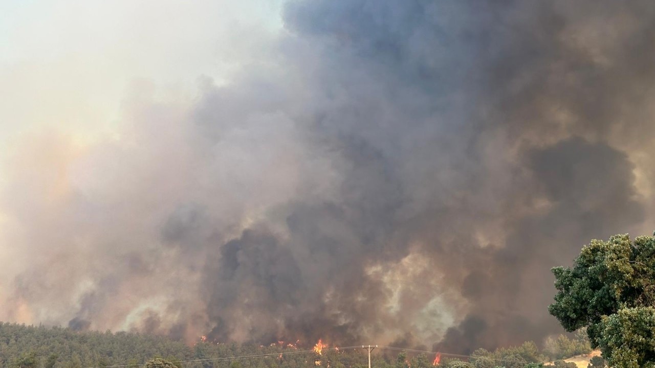 Foto - Uşak'ta orman yangını büyük ölçüde kontrol altına alındı! Yangının geride bıraktığı hasar böyle görüntülendi