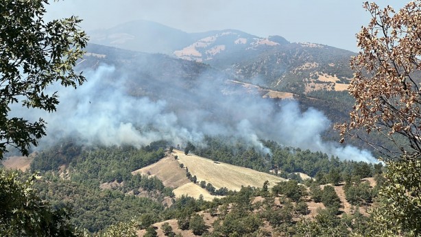 Foto - Uşak'taki orman yangınına müdahale sürüyor