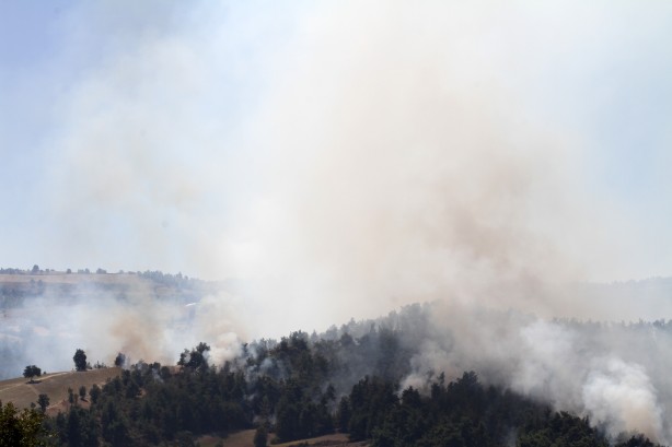 Foto - Uşak'taki orman yangınına müdahale sürüyor