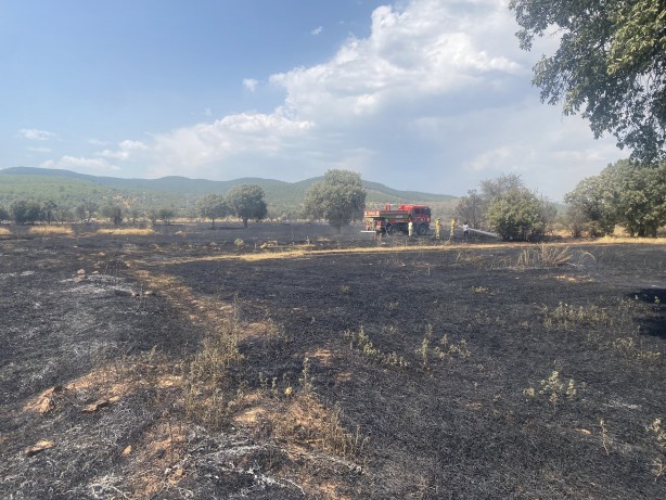 Foto - Uşak'tan çok kötü haber! Onlarca dönüm kül oldu... Sebebini kimse bilmiyor