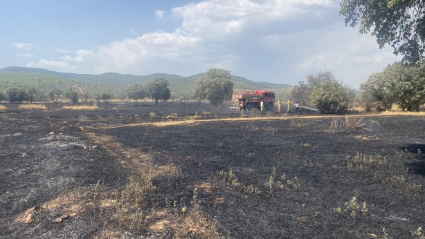 Foto - Uşak'tan çok kötü haber! Onlarca dönüm kül oldu... Sebebini kimse bilmiyor