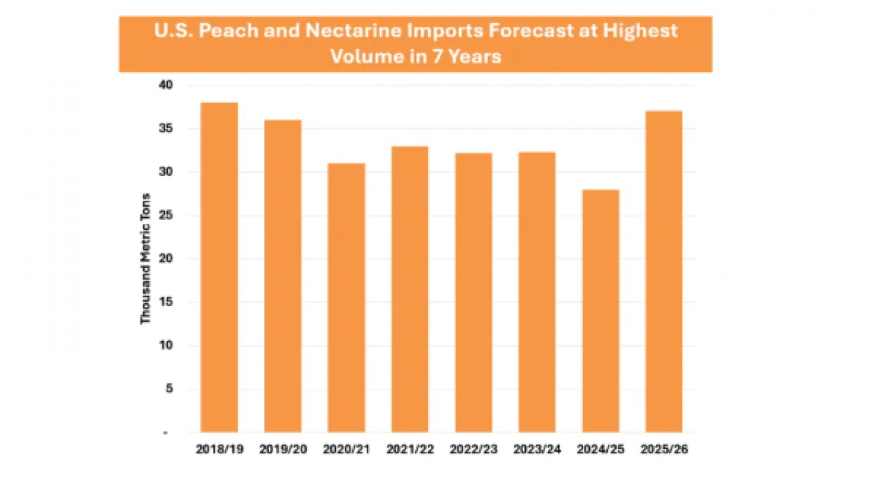 Foto - USDA Raporu yayımlandı! Türkiye dünya liderliğini kaybetti