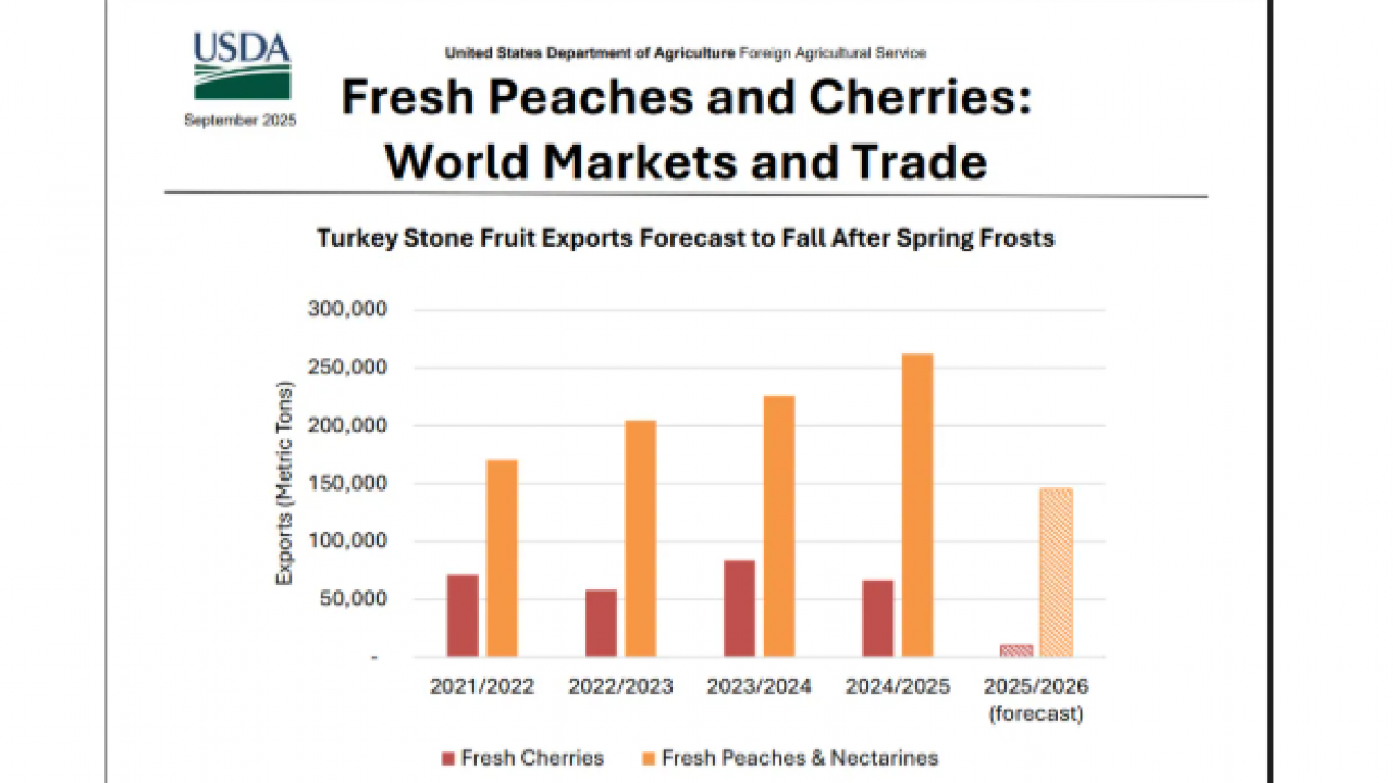 Foto - USDA Raporu yayımlandı! Türkiye dünya liderliğini kaybetti