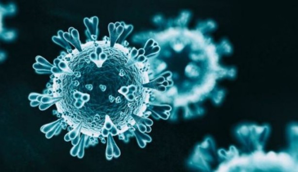 Foto - Uslanmıyorlar! Koronavirüsün beyne saldıran mutantını yaptılar