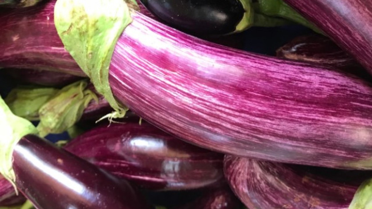 Usta şefler sır gibi saklıyor! Patlıcanın acı tadını almanın sırrı açıklandı