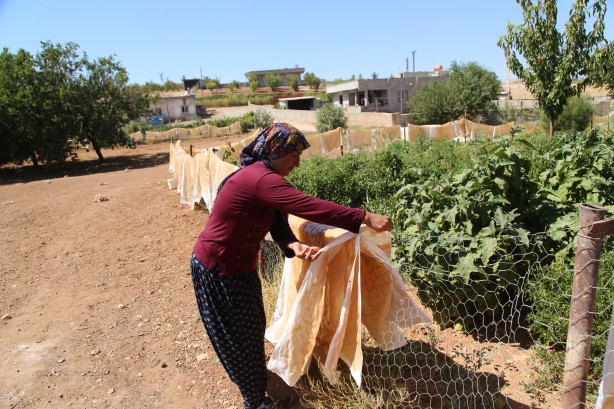 Foto - Üstüne basa basa önerdiler! Üzümün o enfes yolculuğuna çıkmaya hazır mısınız?