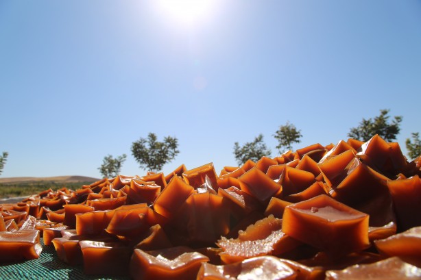 Foto - Üstüne basa basa önerdiler! Üzümün o enfes yolculuğuna çıkmaya hazır mısınız?