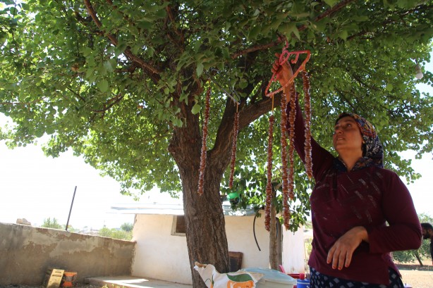 Foto - Üstüne basa basa önerdiler! Üzümün o enfes yolculuğuna çıkmaya hazır mısınız?